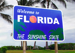 Car Insurance Florida >> Car Insurance Florida Coverhound Car Insurance Florida >> Car Insurance Florida Coverhound